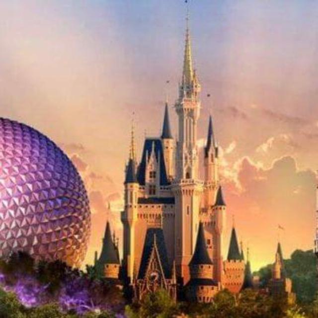 Our Disney Honeymoon Fund