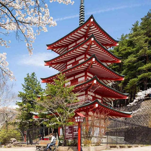 Help Us Honeymoon in Japan!