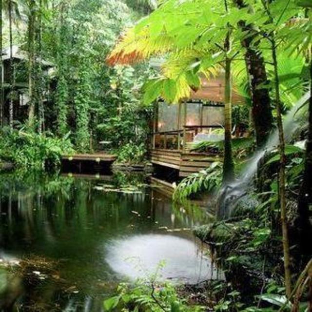 Escape into the Daintree Forest For 2 Nights!