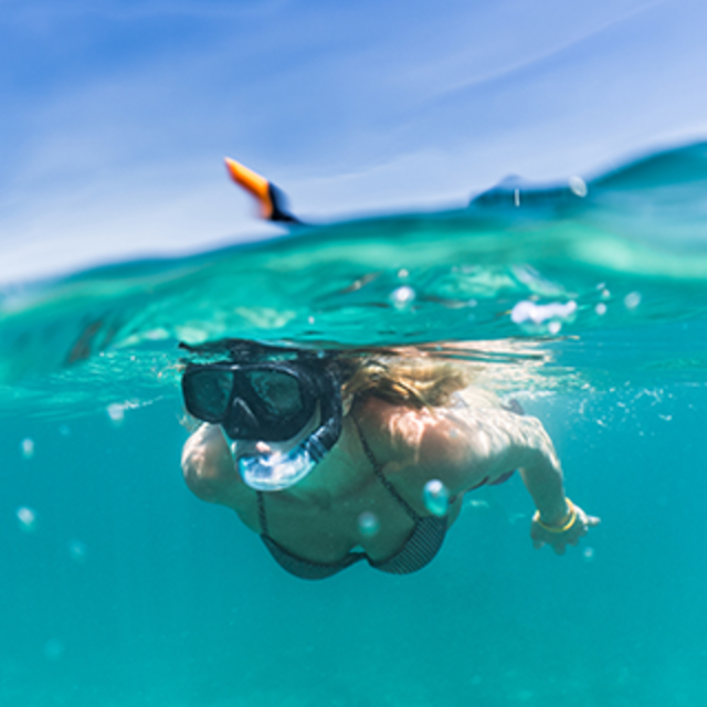 Snorkling and Night Scuba Dive