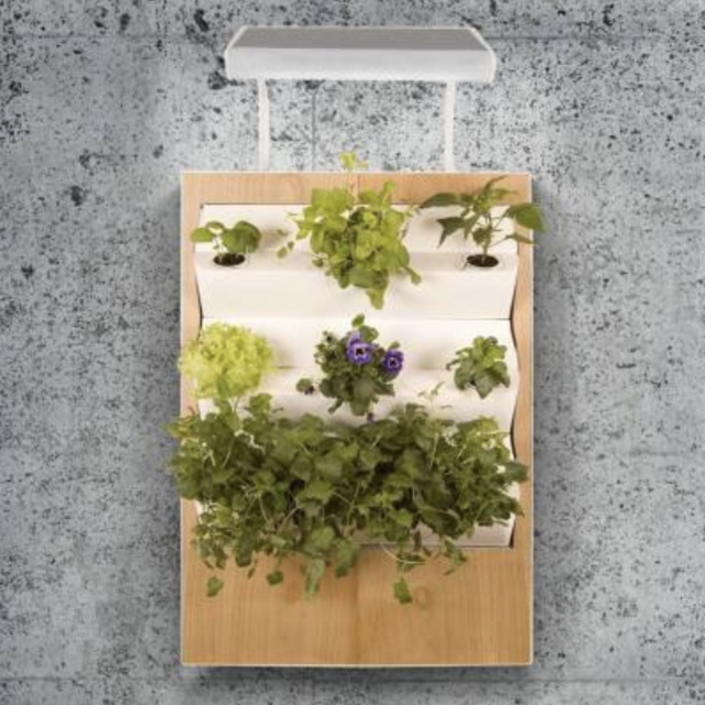 Herbert Farming Seed Refill Pack Large