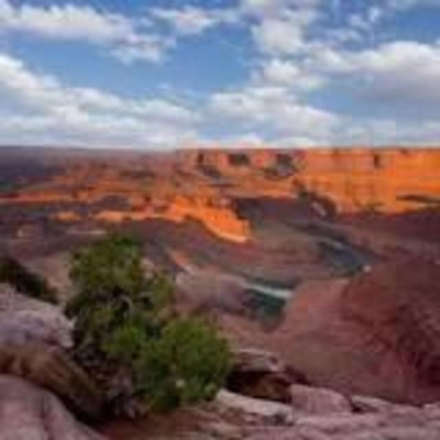 Annual National Parks Pass