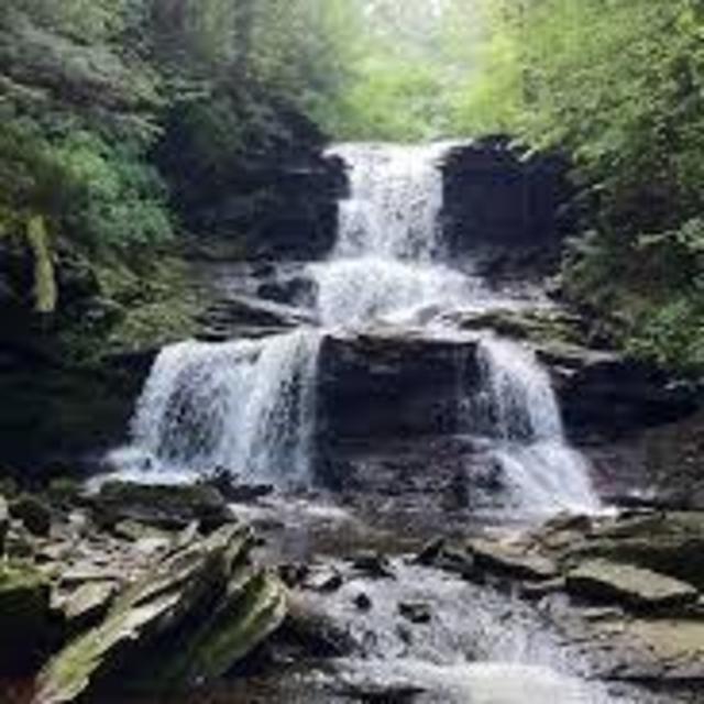 Mountain Scout Survival School