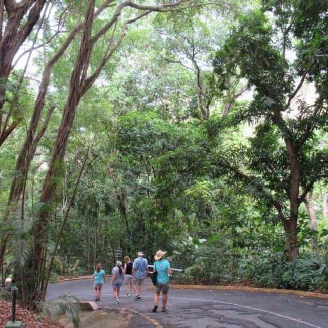 Sloth Tour at Tulemar