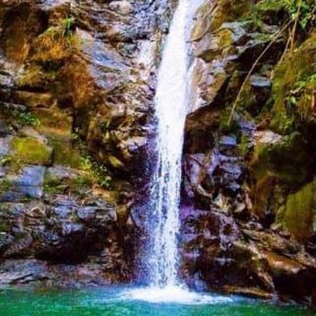 Rainforest Waterfall Day-Long Tour