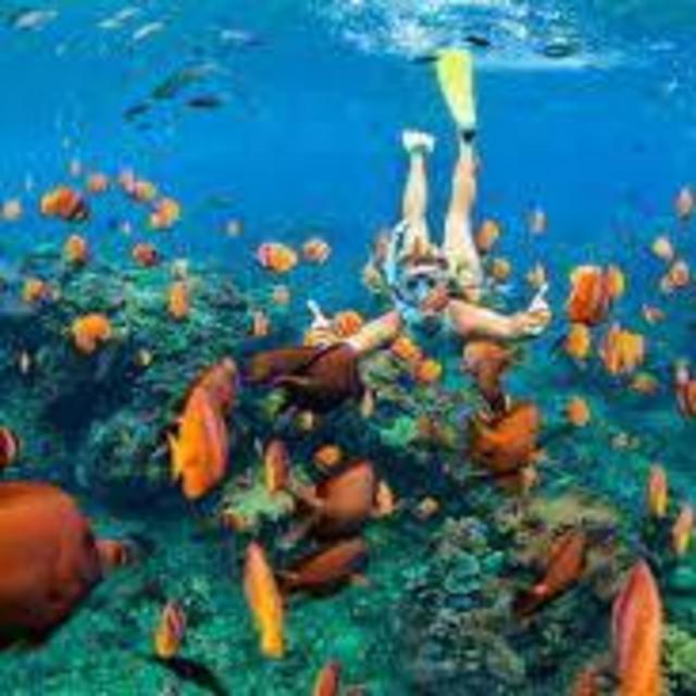 Bali Snorkel Adventure