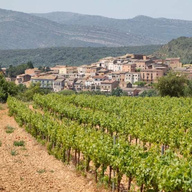 Guided wine tour Catalonia, Spain