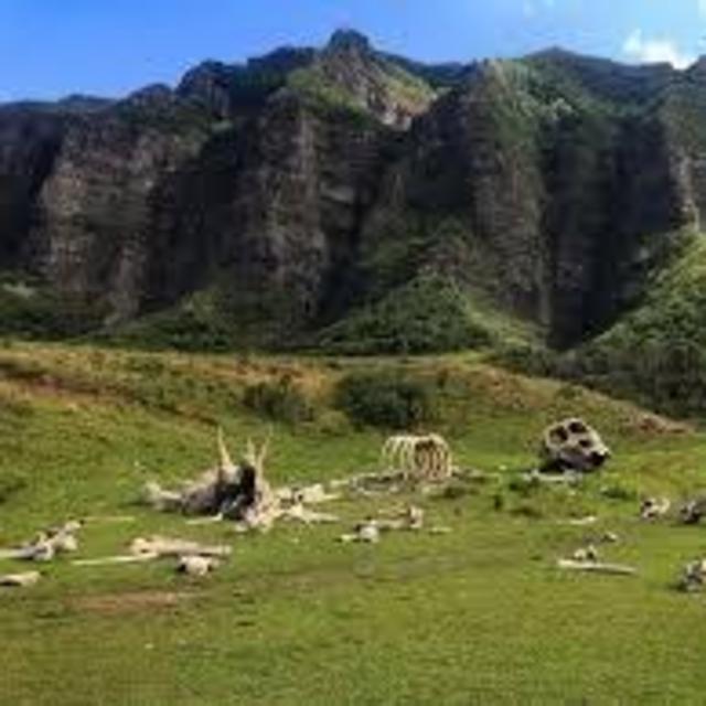 Jurassic Adventure Tour