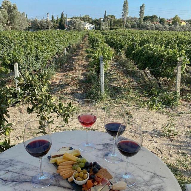 Wine and Cheese Tasting Tour