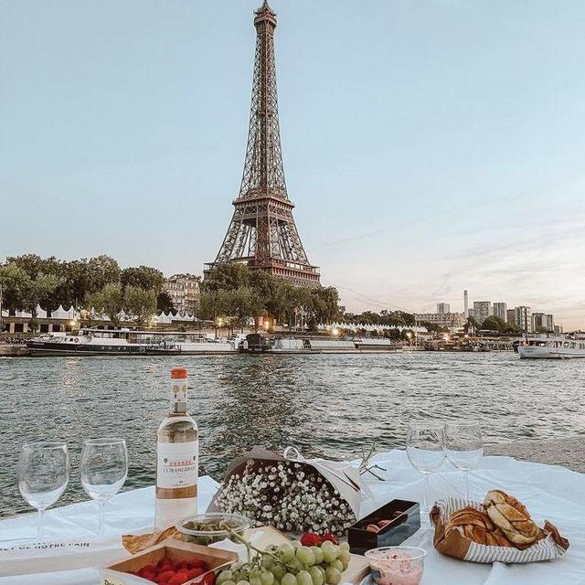 Romantic Picnic by the Eiffel Tower