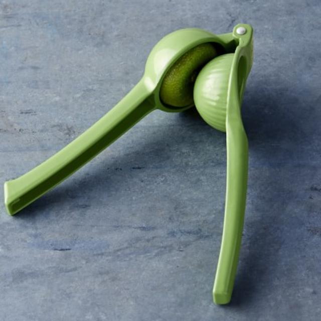 Williams-Sonoma Open Kitchen Lime Press