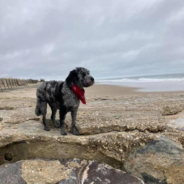 Pepper Adventure Fund