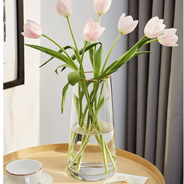 FUNSOBA Clear Glass Flower Vase with Gold Mouth for Centerpieces Home Wedding Decoration (1, Large 5.2" x 9.9“)