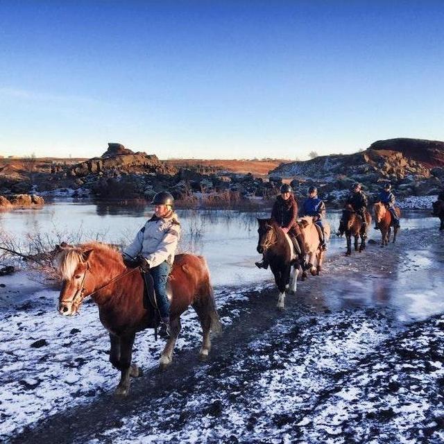 Honeymoon in Iceland: Horseback Riding