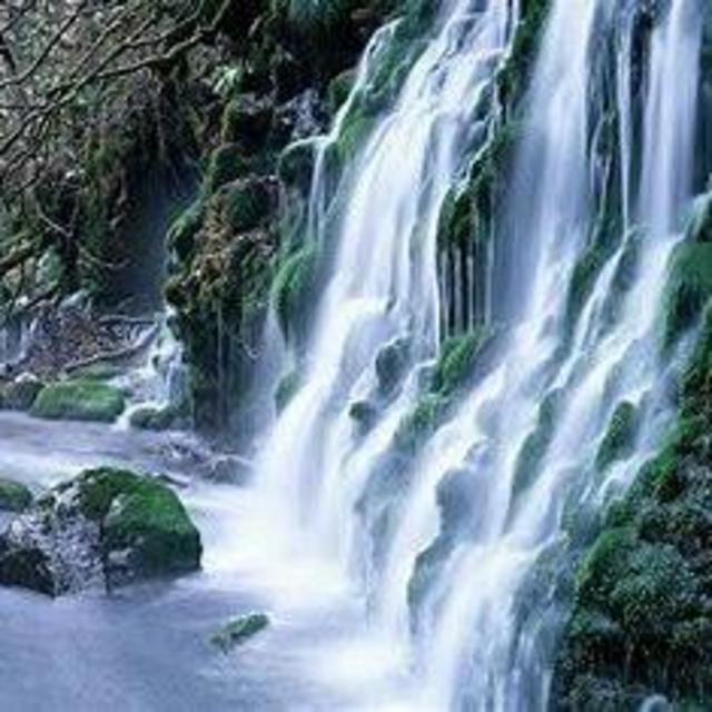 Bamboo Beach Club and Dunn's River Falls Excursion