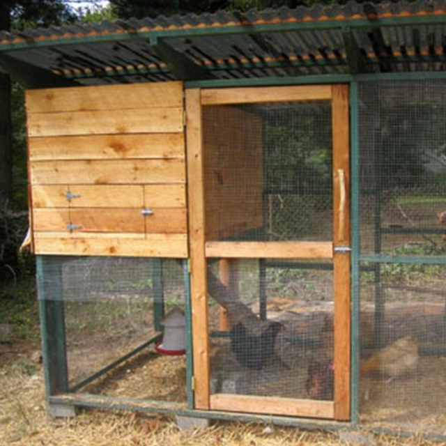Chicken Coop
