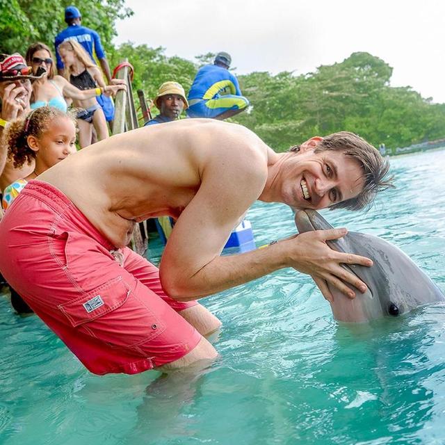 Dolphin Encounter