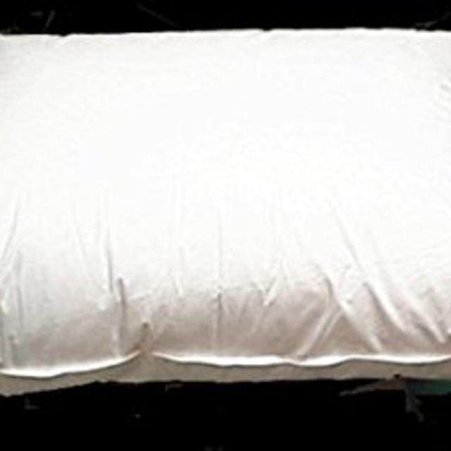 Oversized and Overfilled Slumber Pillow 31" X 40", 550+ Fill Power, Imported From Hungary