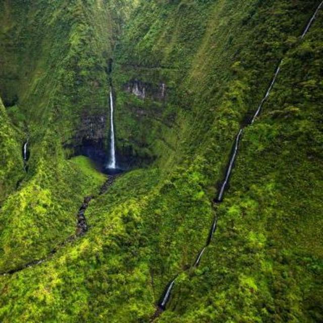 Hawaii Nature Conservancy