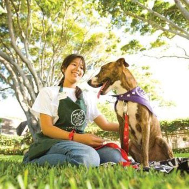 Hawaiian Humane Society