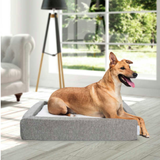 Molecule Air-engineered Dog Bed, Medium