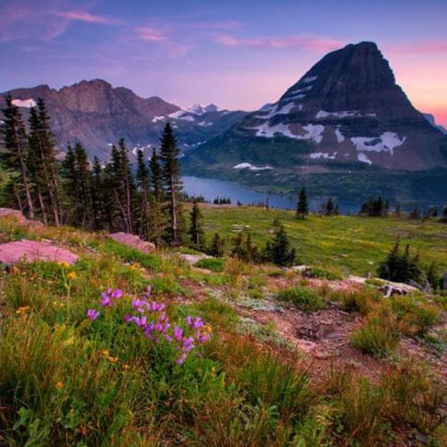 Montana Honeymoon Fund