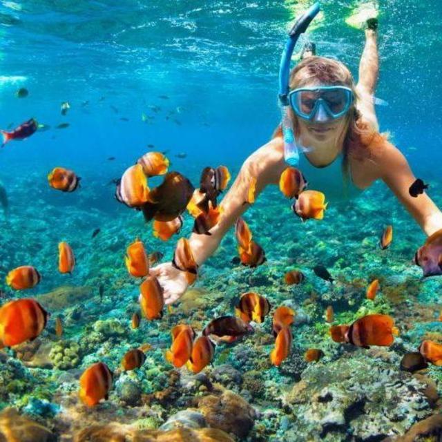 Full Day Snorkeling Trip to Iguana Island in Turks and Caicos