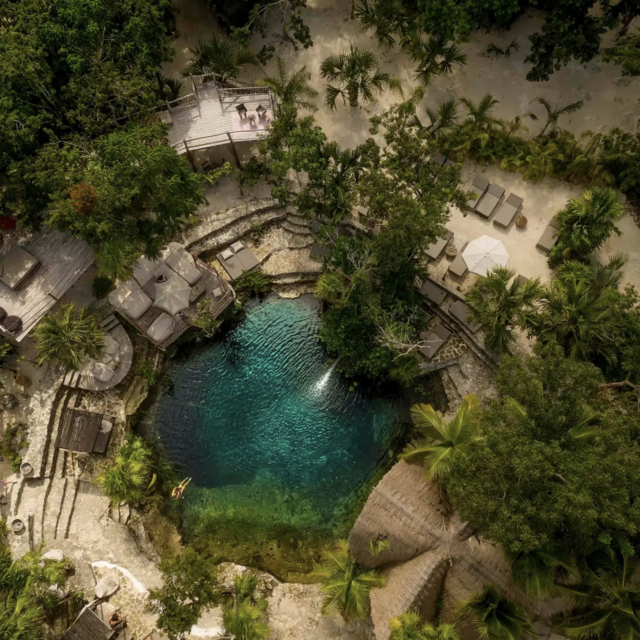 Vesica Cenote & Lunch