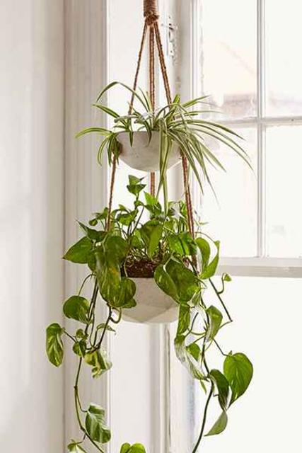 Ellis Double Hanging Planter