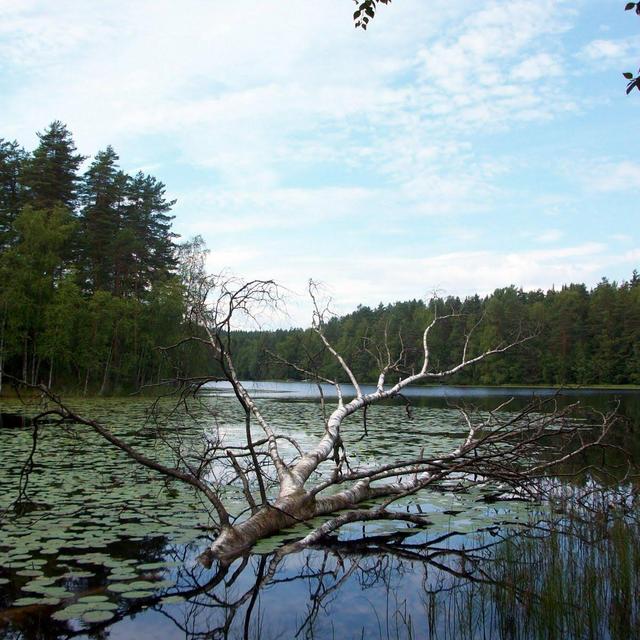 Tour Guiado al Parque Nacional Nuuksio