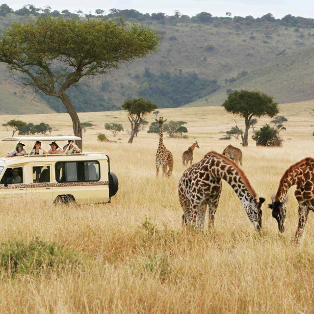 Honeymoon Safari - Tengile River Lodge