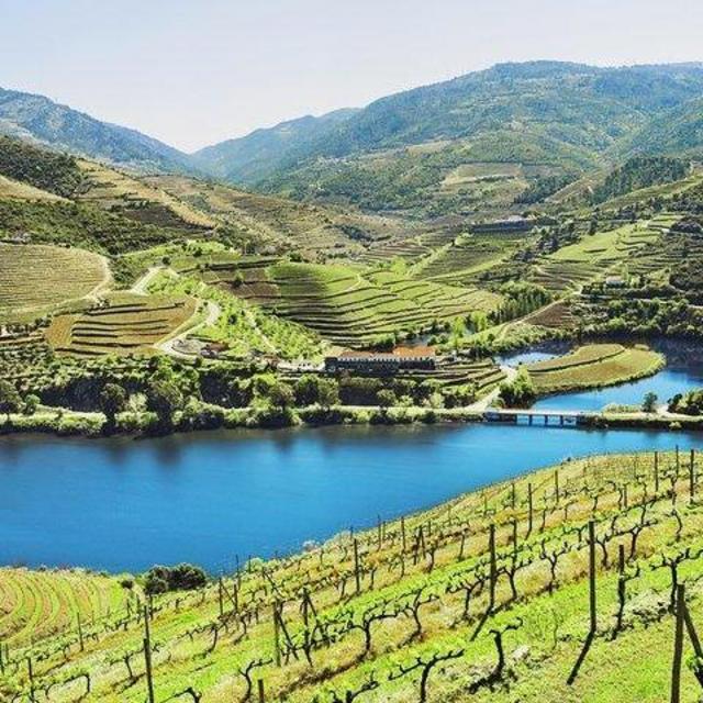 Douro Wine Tour Honeymoon