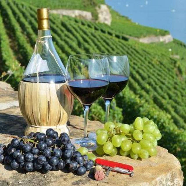 Wine Tasting in Tuscany