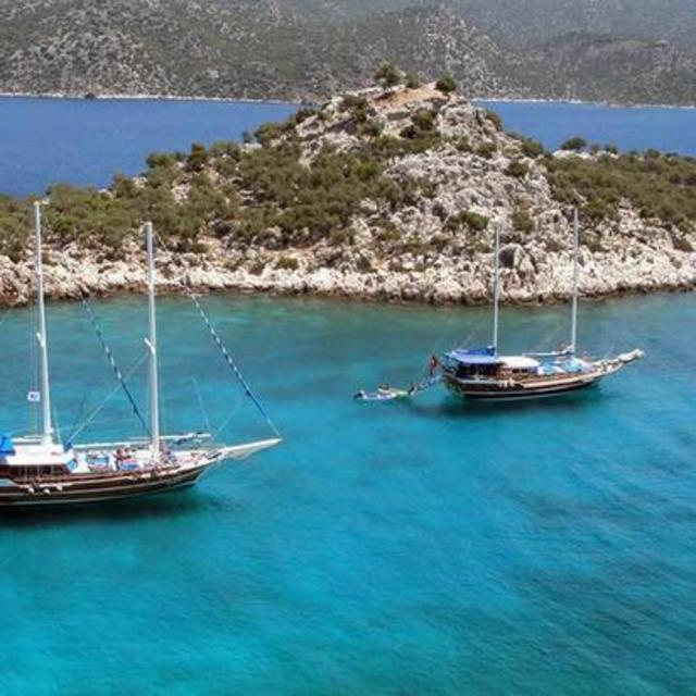 Boat Tour