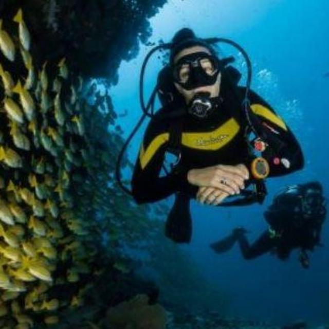 Maldives: Scuba Diving (2 Trips)