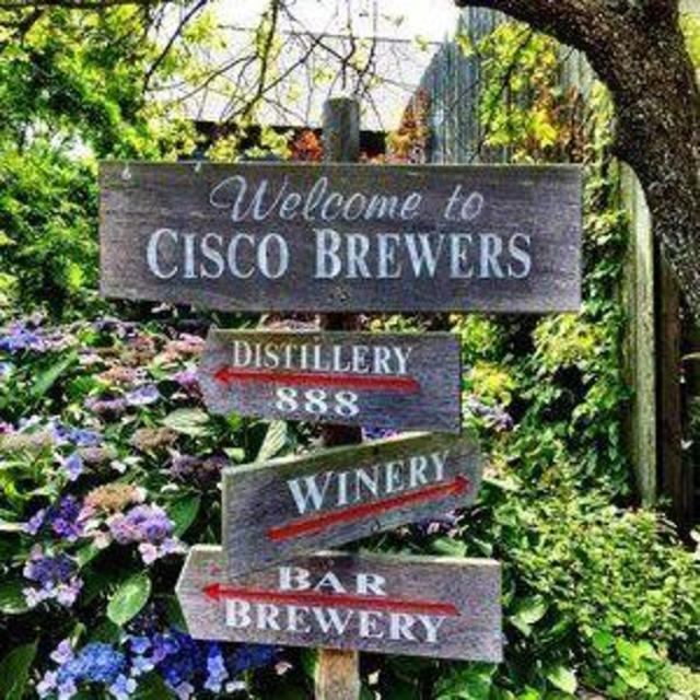 Round of beers to cheers our honeymoon! Cisco Brewery Nantucket