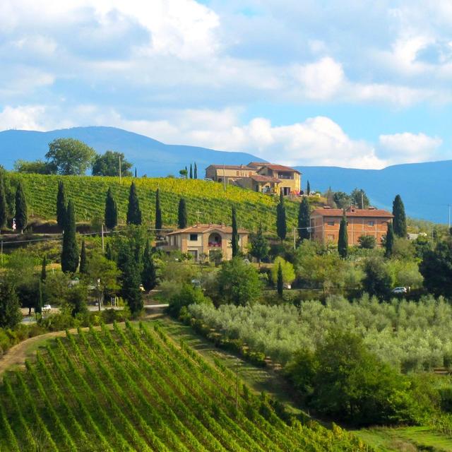 Wine Tasting in Tuscany