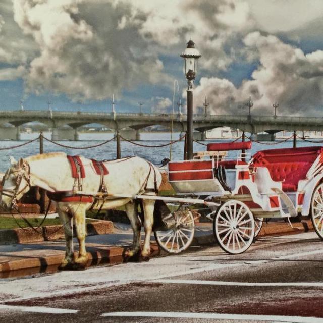 Horse-drawn Carriage Tour