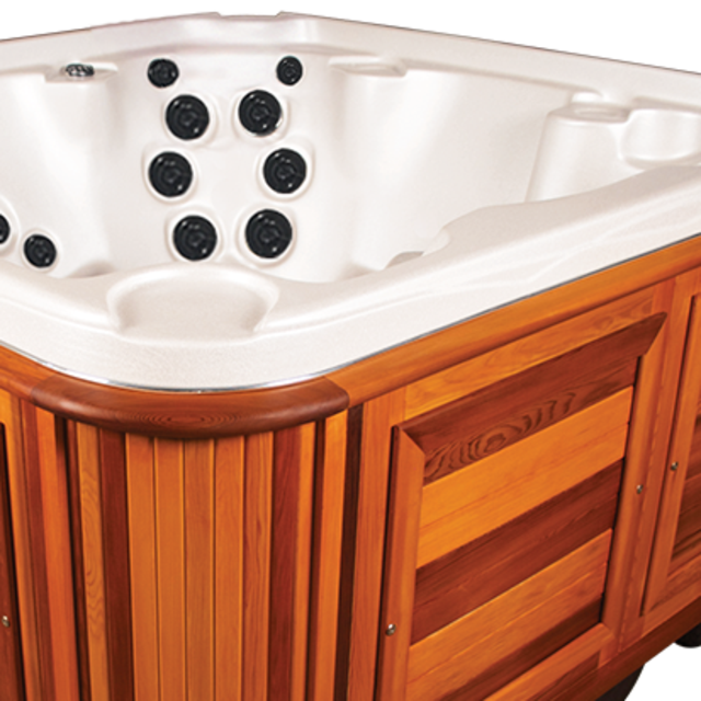 Bullfrog Hot Tub