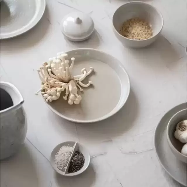 Bone Reactive Glaze Stoneware Dinner Plate