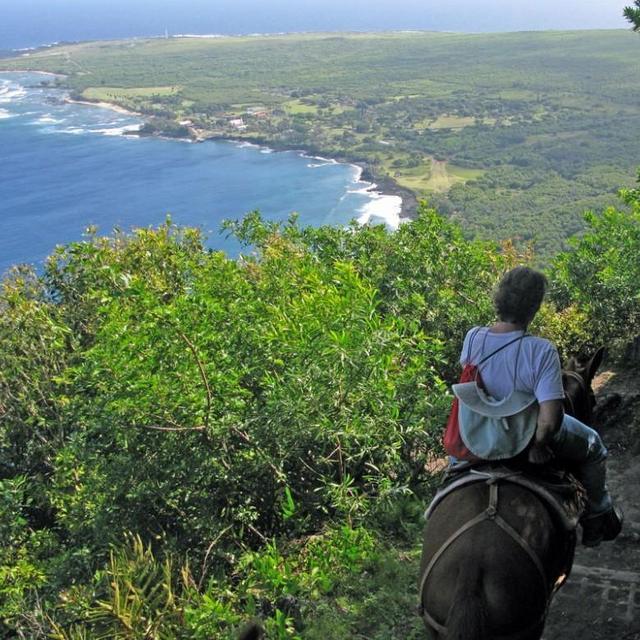 Honeymoon: The Bucketlist Event