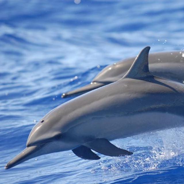 Honeymoon: Day in the Water