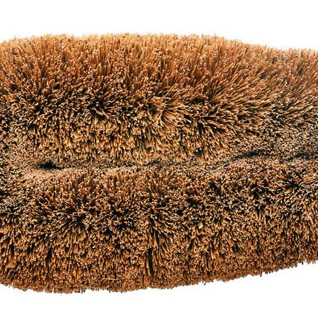 Floor and Kitchen Cleaning Brush