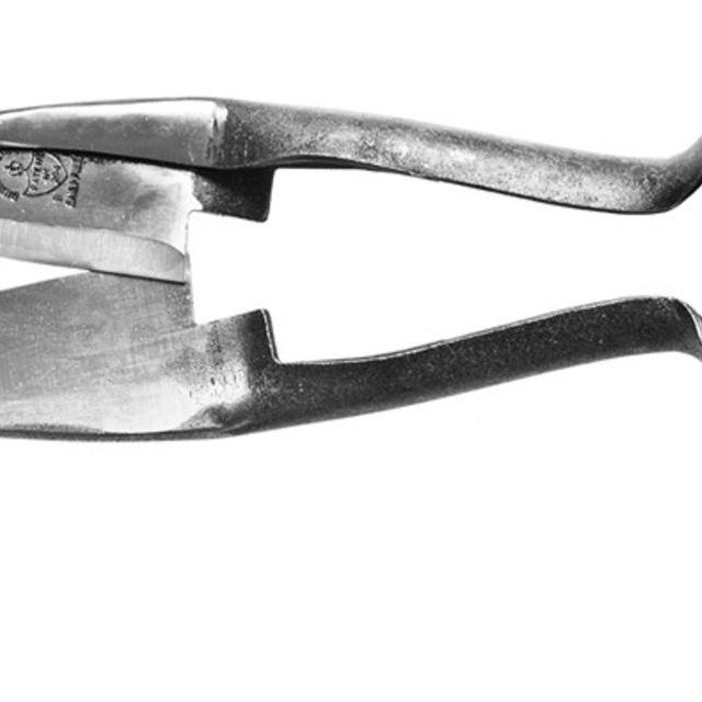 Garden Shears