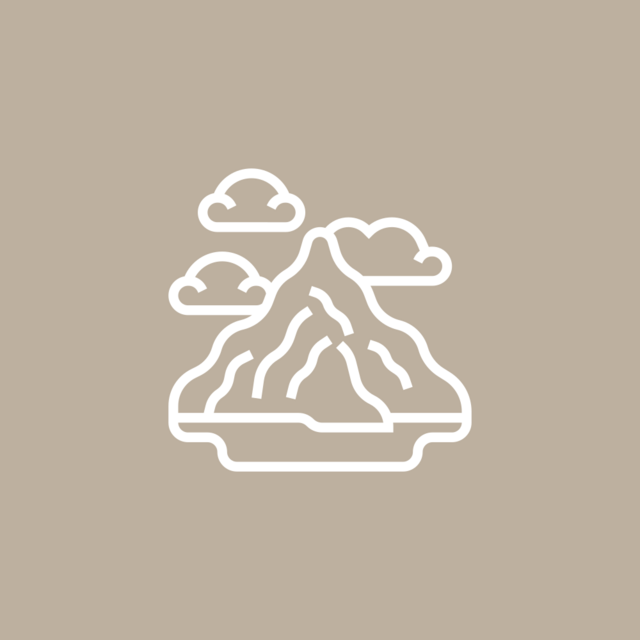 Airfare / Vuelos (USD)