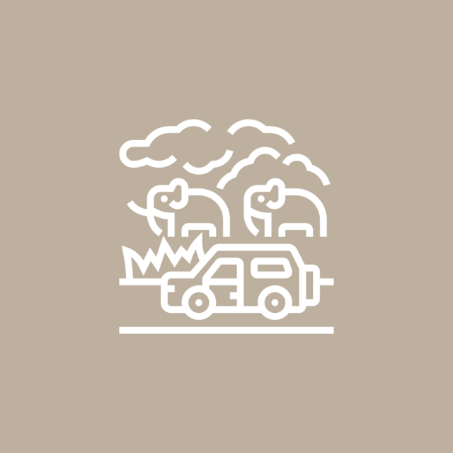 Safaris (USD)