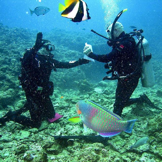 Bora Bora: Discover SCUBA