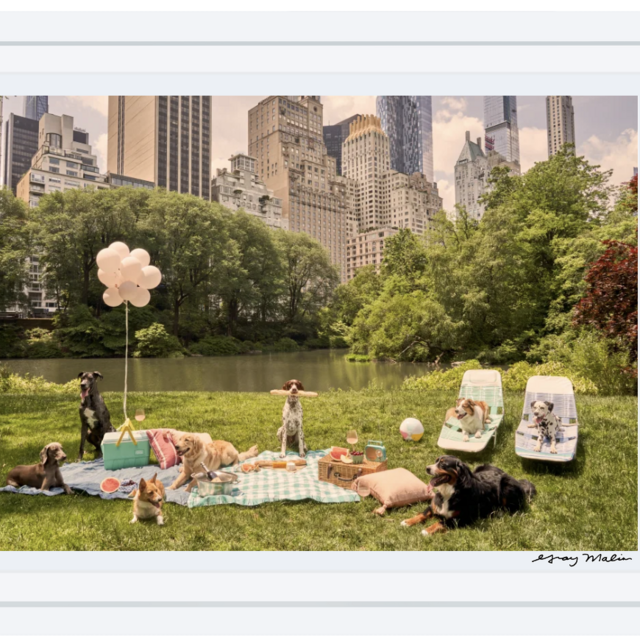 Picnic Party, Central Park | Gray Malin Fine Art Photography - Size Small