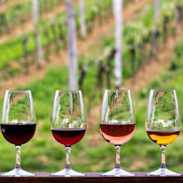 Wine Tasting