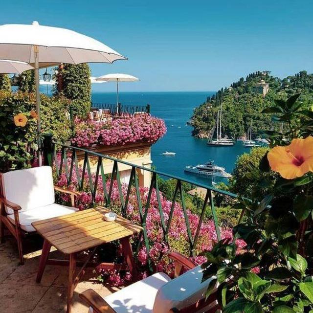 Hotel Accommodations